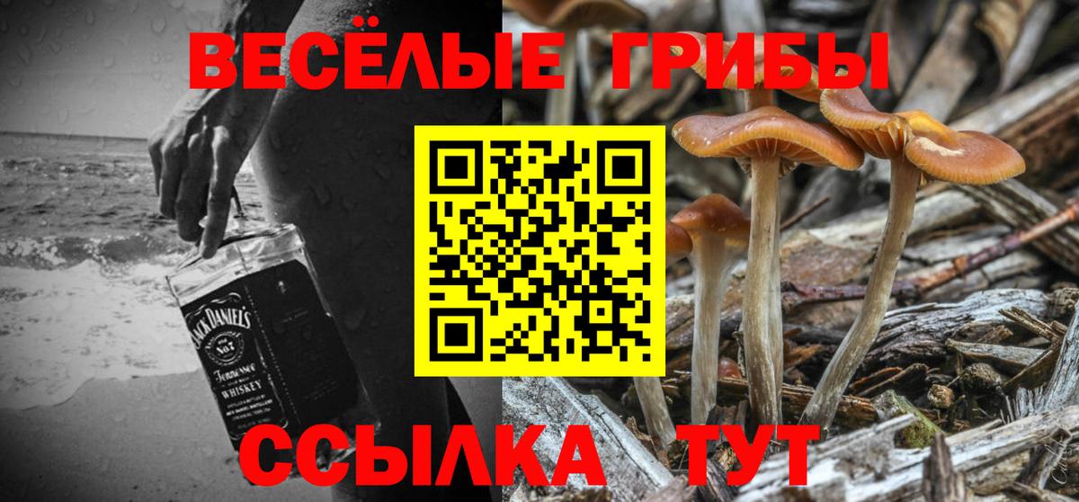Верхняя Пышма  Галлюциногенные грибы Psilocybe  Галлюциногенные грибы Cubensis  Вход с VPN 